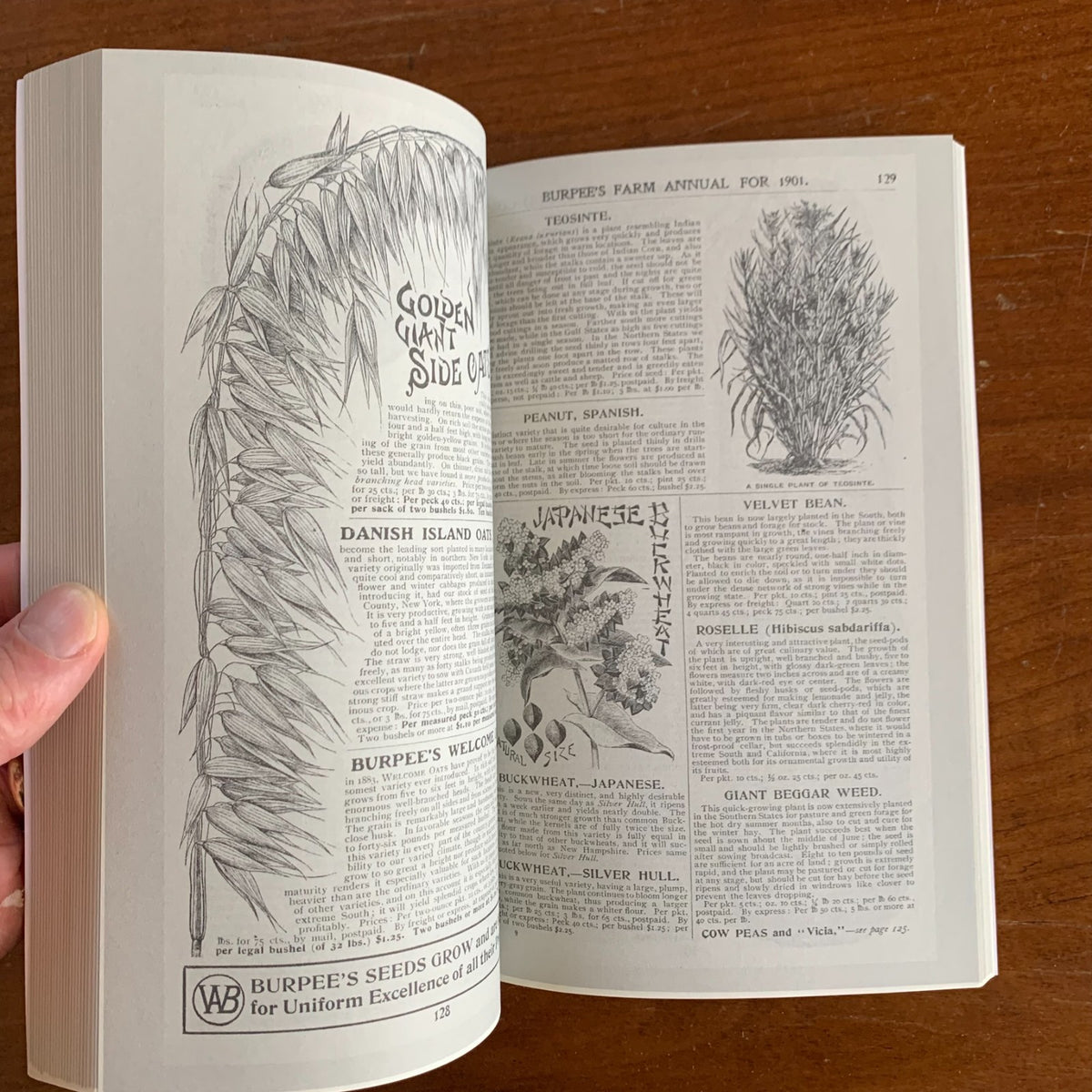 1901 Burpee's Farm Annual, Quarter-Century Edition