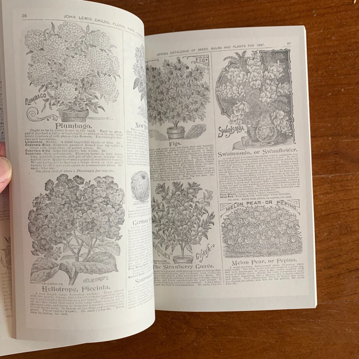 1897 Childs' Rare Flowers, Vegetables and Fruits