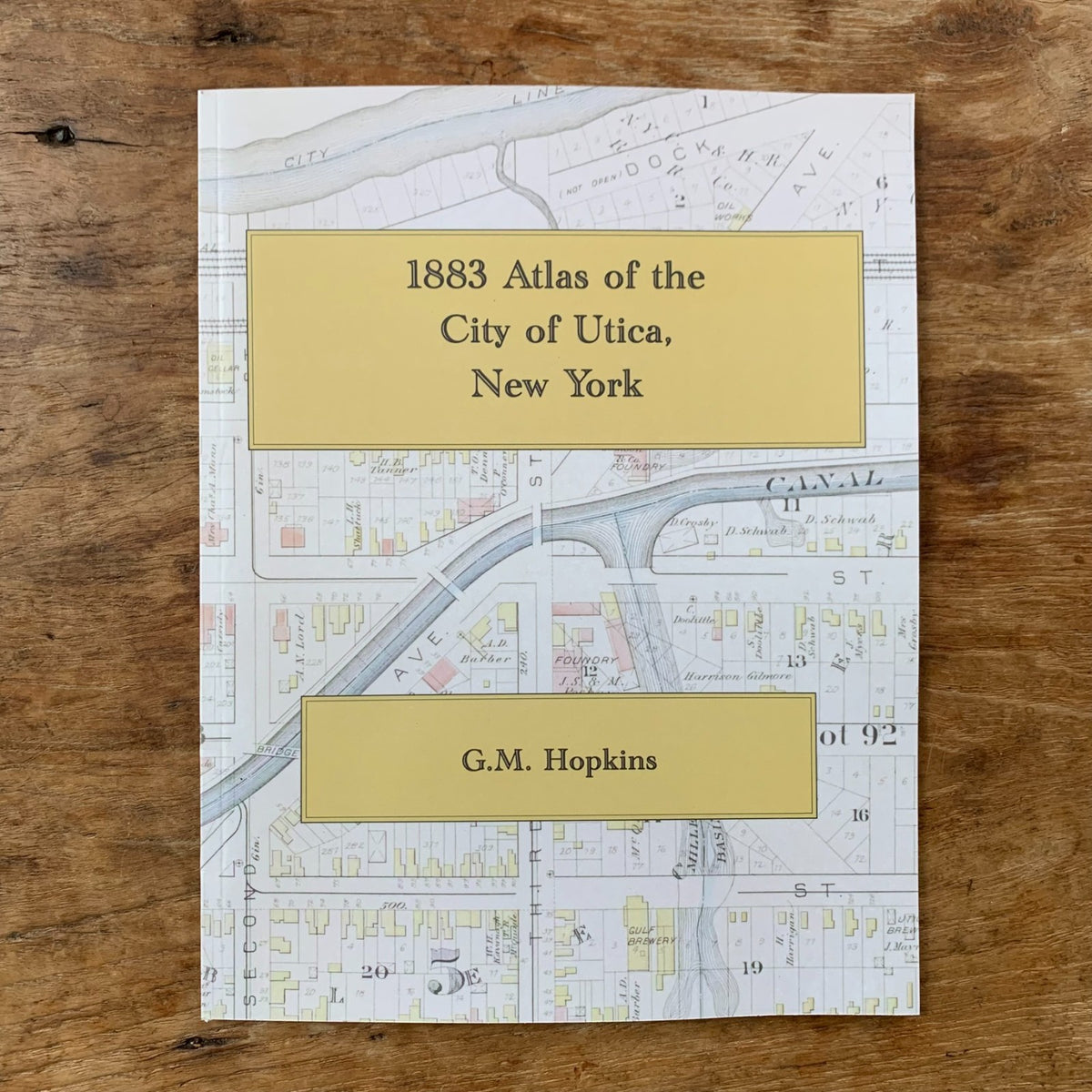 1876 City Atlas of Albany, New York