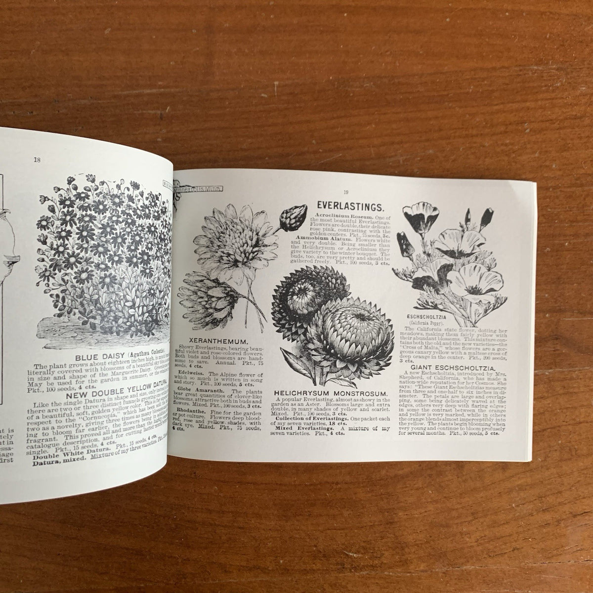 1899 Emma V. White's Choice Flower Seeds: Illustrated Catalog