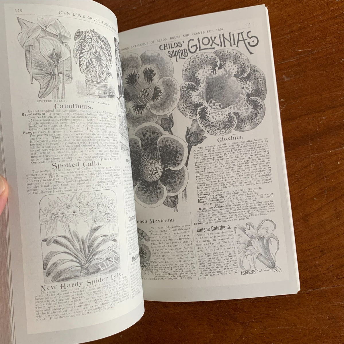 1897 Childs' Rare Flowers, Vegetables and Fruits
