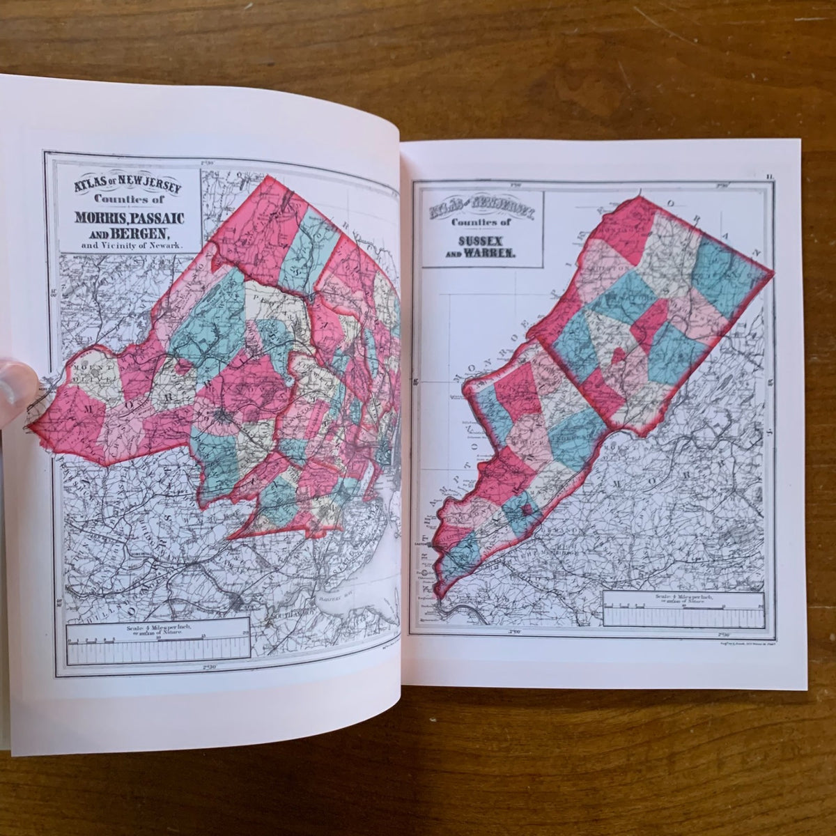 1873 Combined Atlas Of The State Of New Jersey and the County Hudson