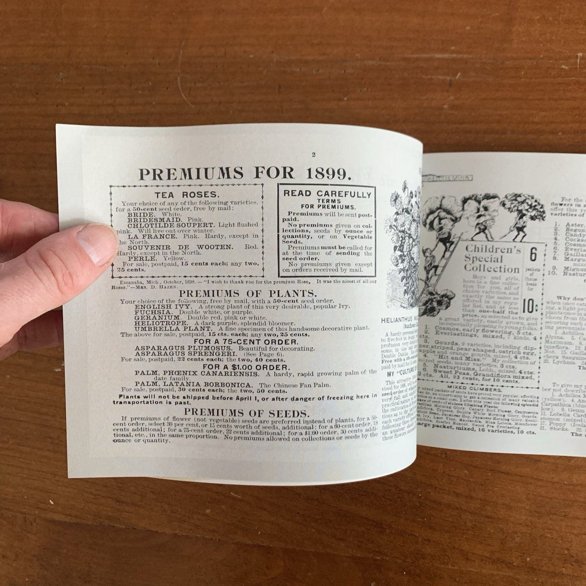 1899 Emma V. White's Choice Flower Seeds: Illustrated Catalog