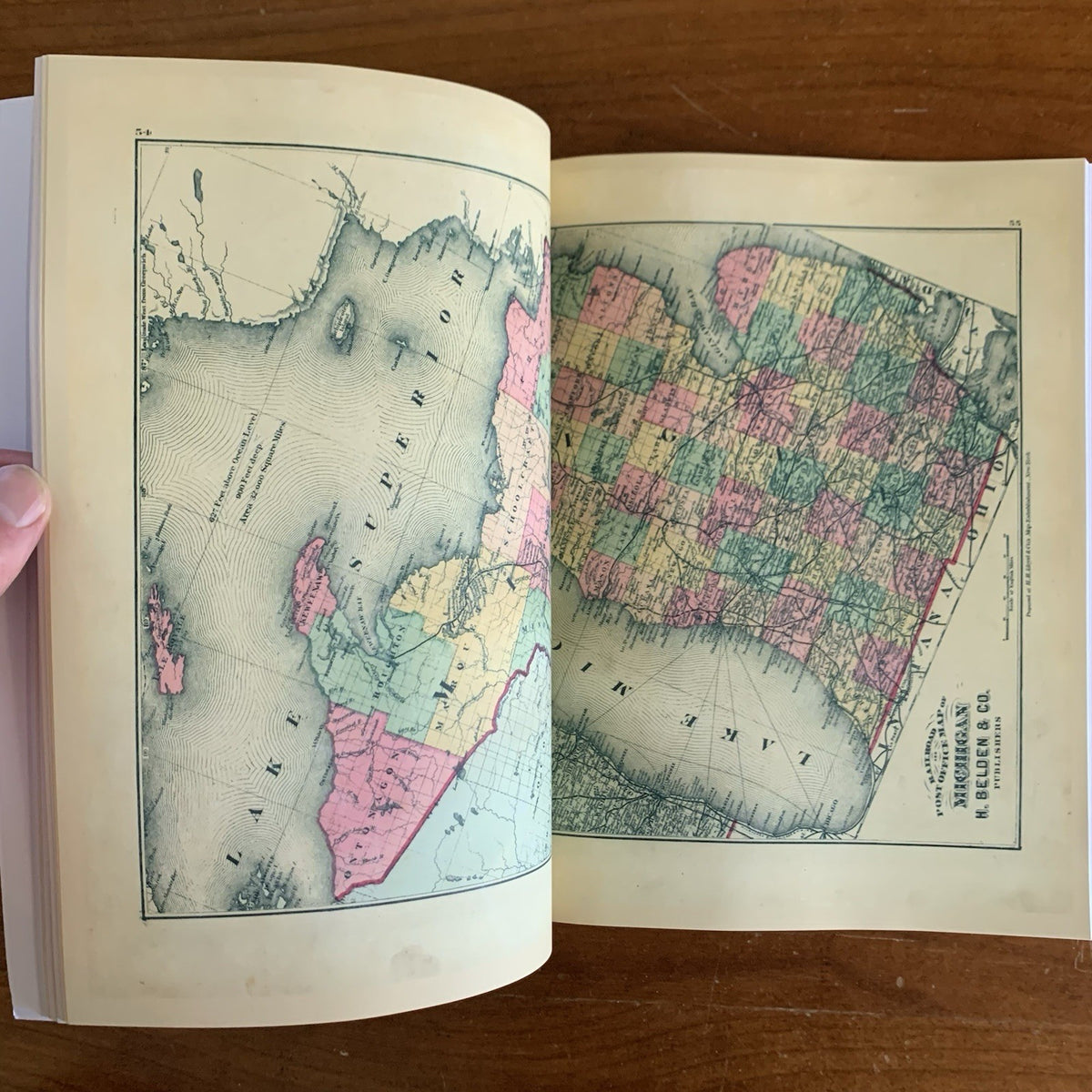 1876 Illustrated Historical Atlas of the County of Wayne, Michigan