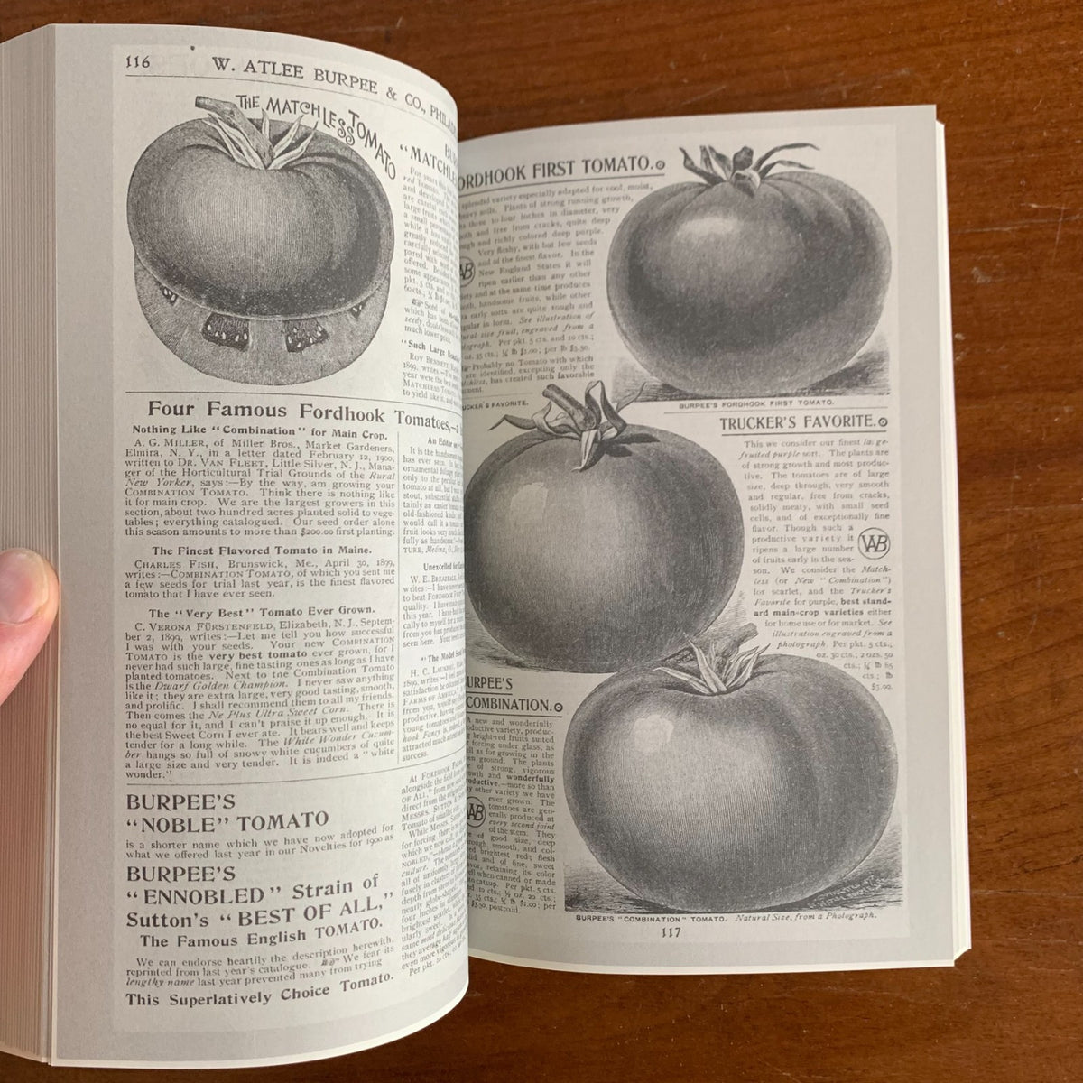1901 Burpee's Farm Annual, Quarter-Century Edition