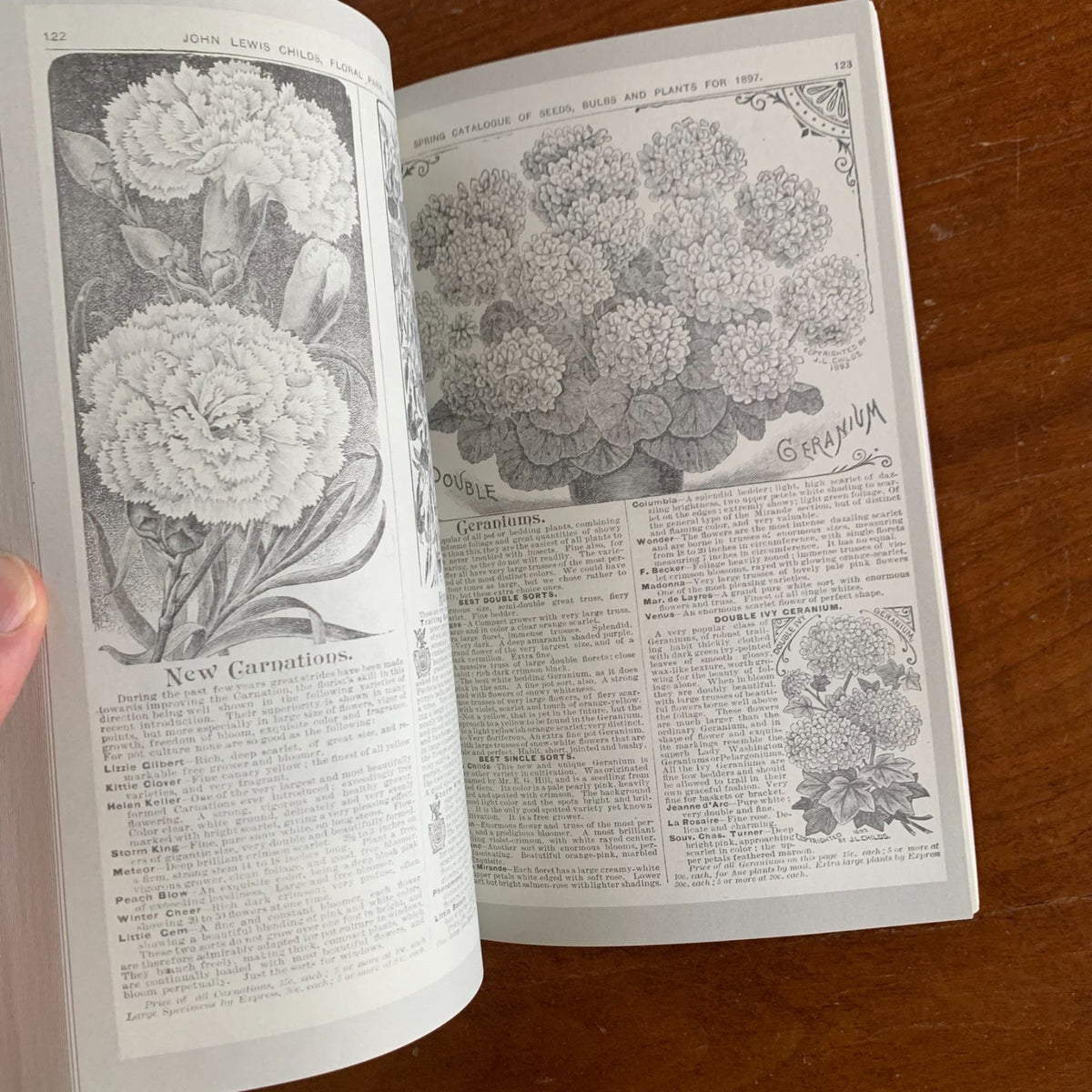 1897 Childs' Rare Flowers, Vegetables and Fruits