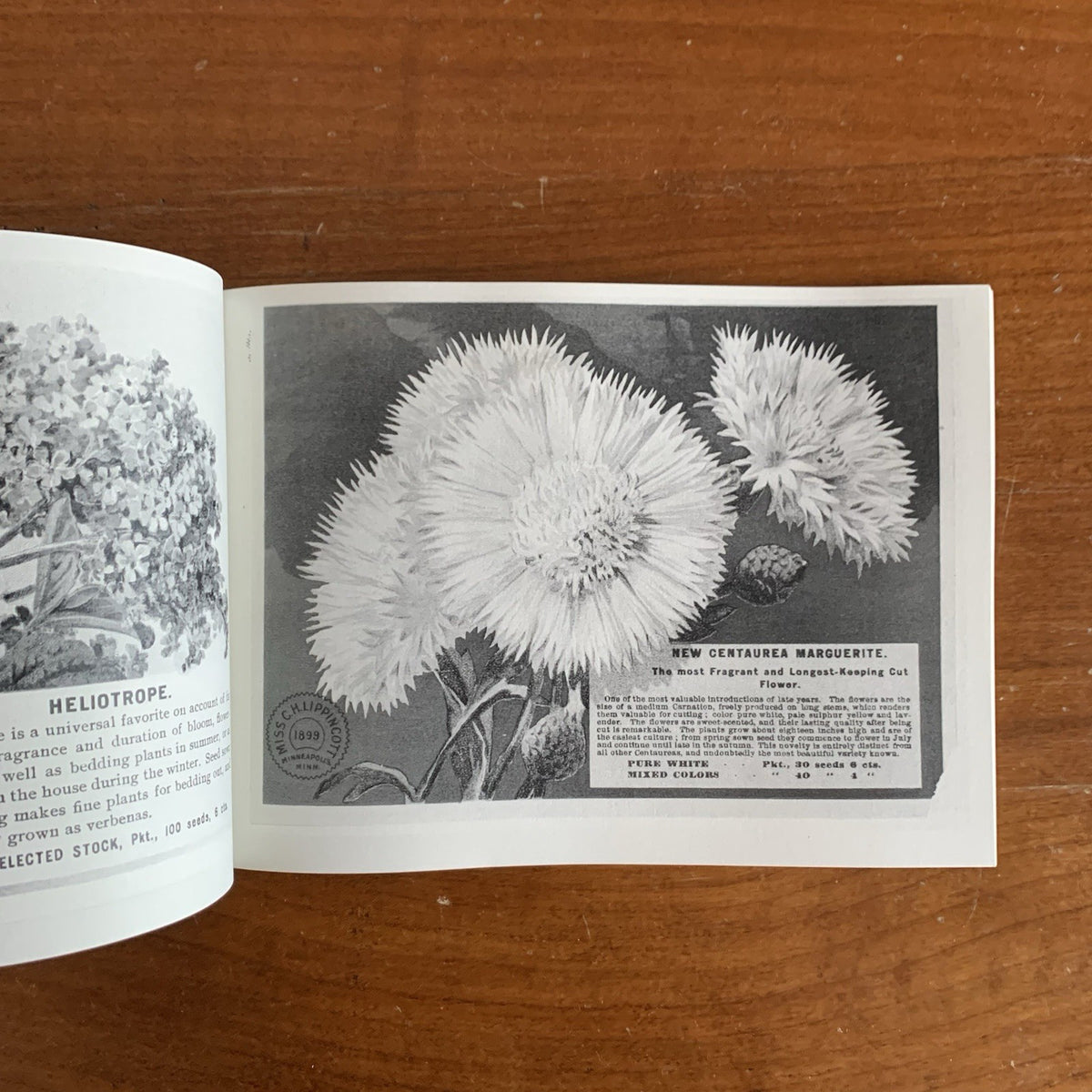 1899 Flower Seeds Miss C.H. Lippincott's Illustrated Seed Catalog