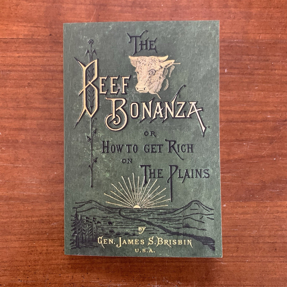 1881 The Beef Bonanza or How to Get Rich on the Plains James Brisbin