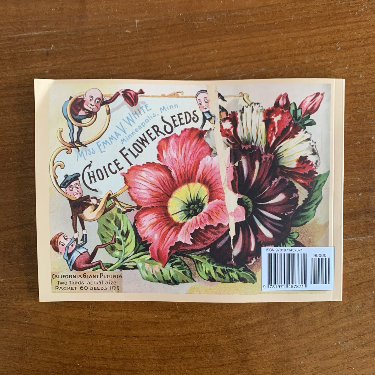 1899 Emma V. White's Choice Flower Seeds: Illustrated Catalog