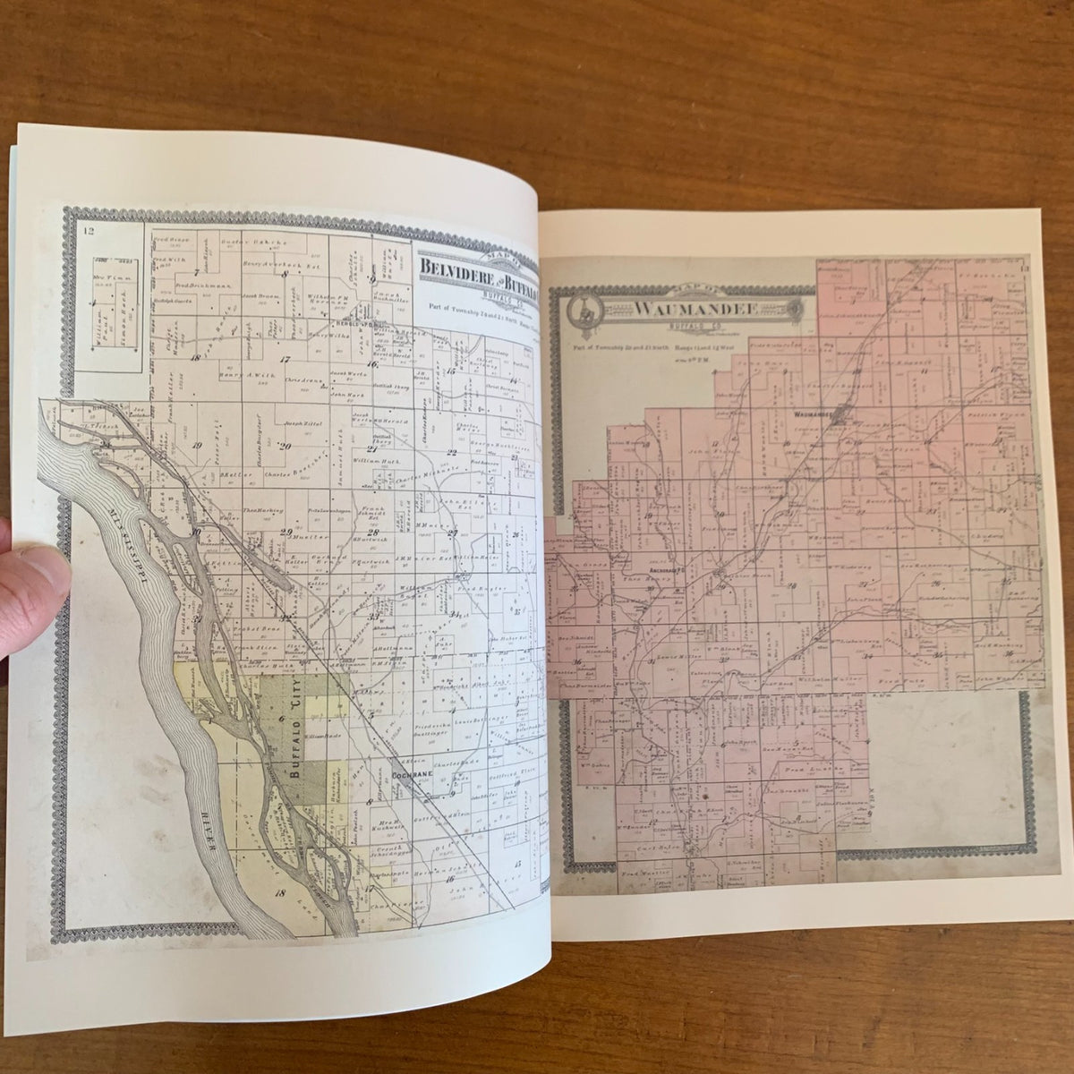1896 Standard Atlas of Buffalo and Pepin Counties, Wisconsin