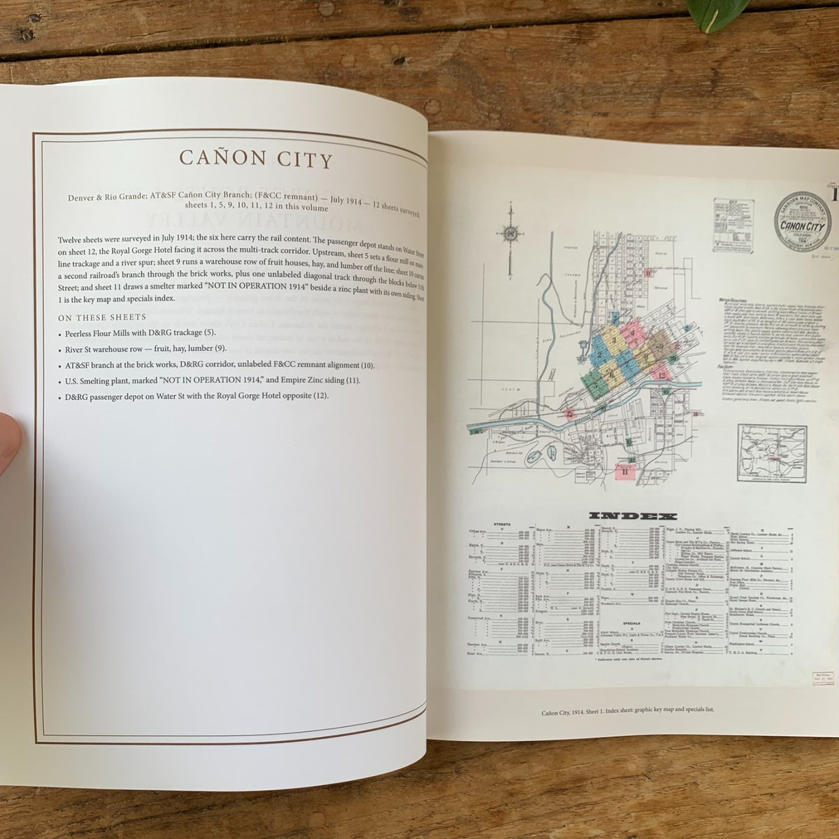 Railroad Depots of the Colorado Narrow Gauge, Volume 3