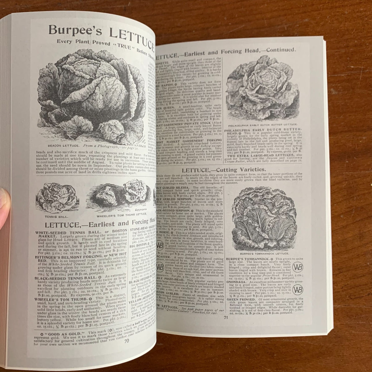 1901 Burpee's Farm Annual, Quarter-Century Edition
