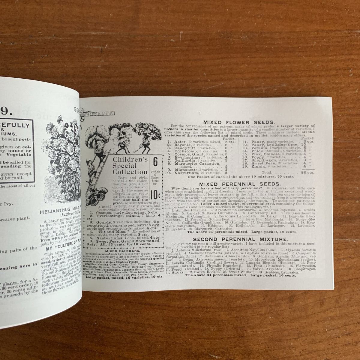 1899 Emma V. White's Choice Flower Seeds: Illustrated Catalog