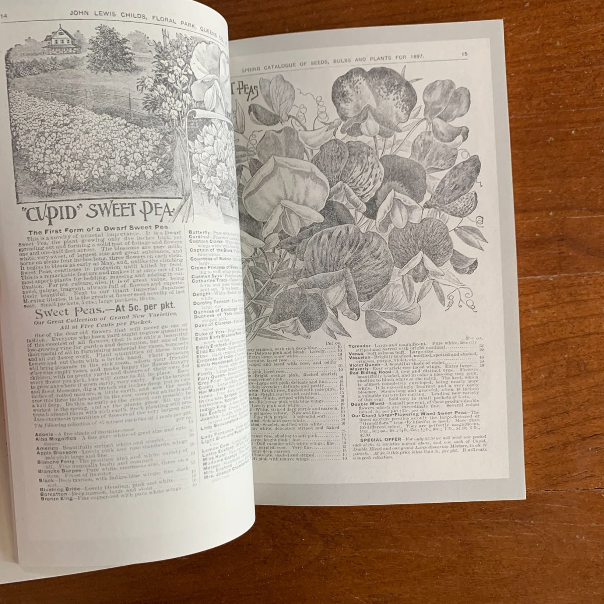 1897 Childs' Rare Flowers, Vegetables and Fruits