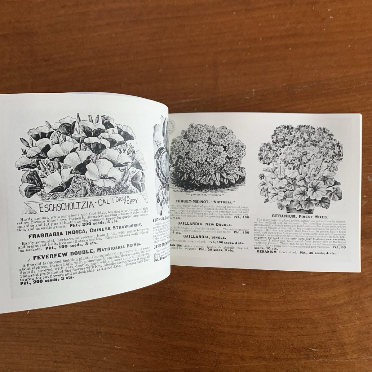 1899 Flower Seeds Miss C.H. Lippincott's Illustrated Seed Catalog