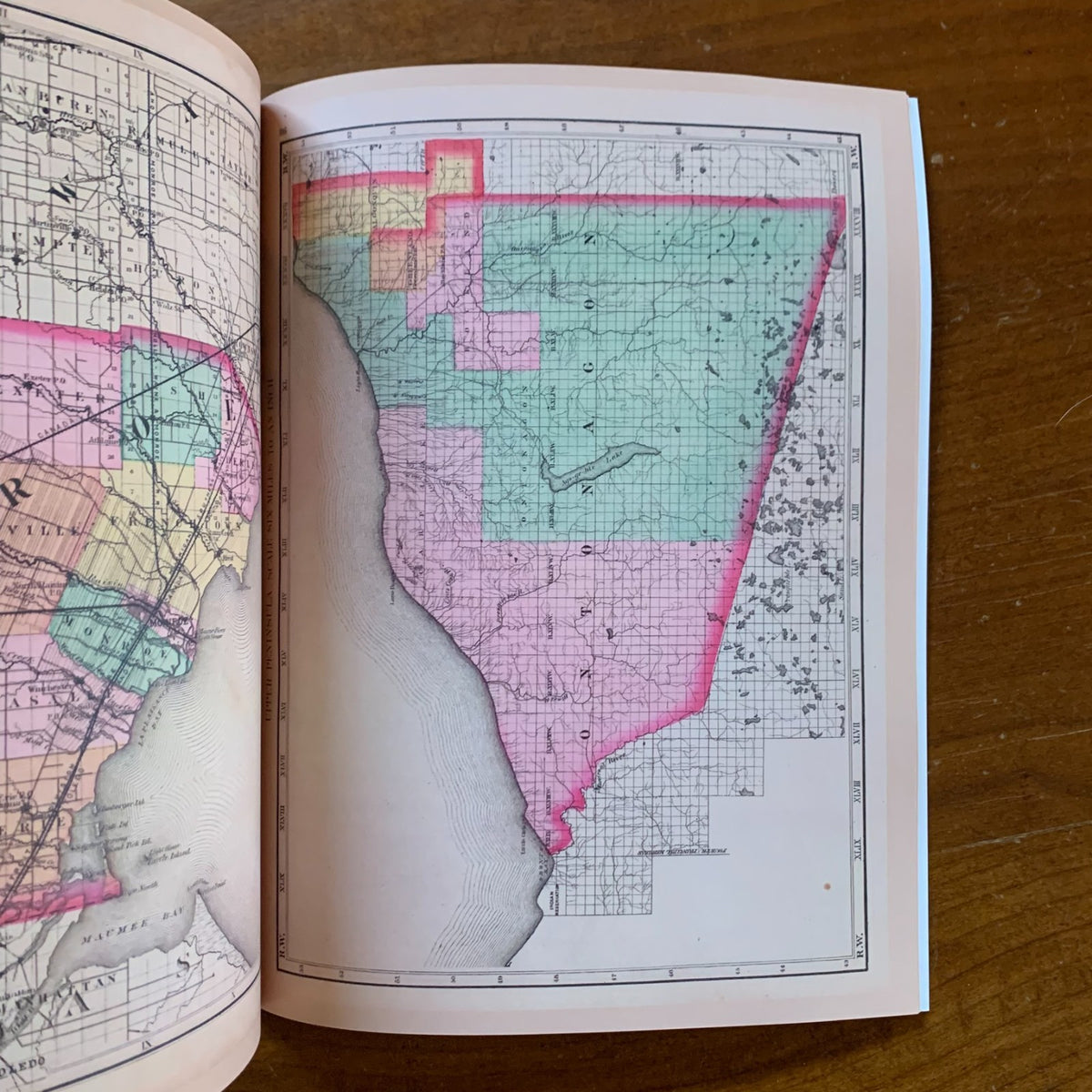 1873 Atlas of the State of Michigan