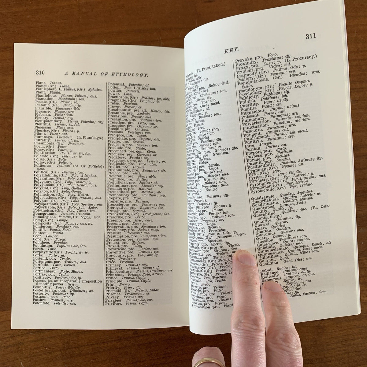 1879 A Manual of Etymology Containing Latin and Greek Derivatives Webb