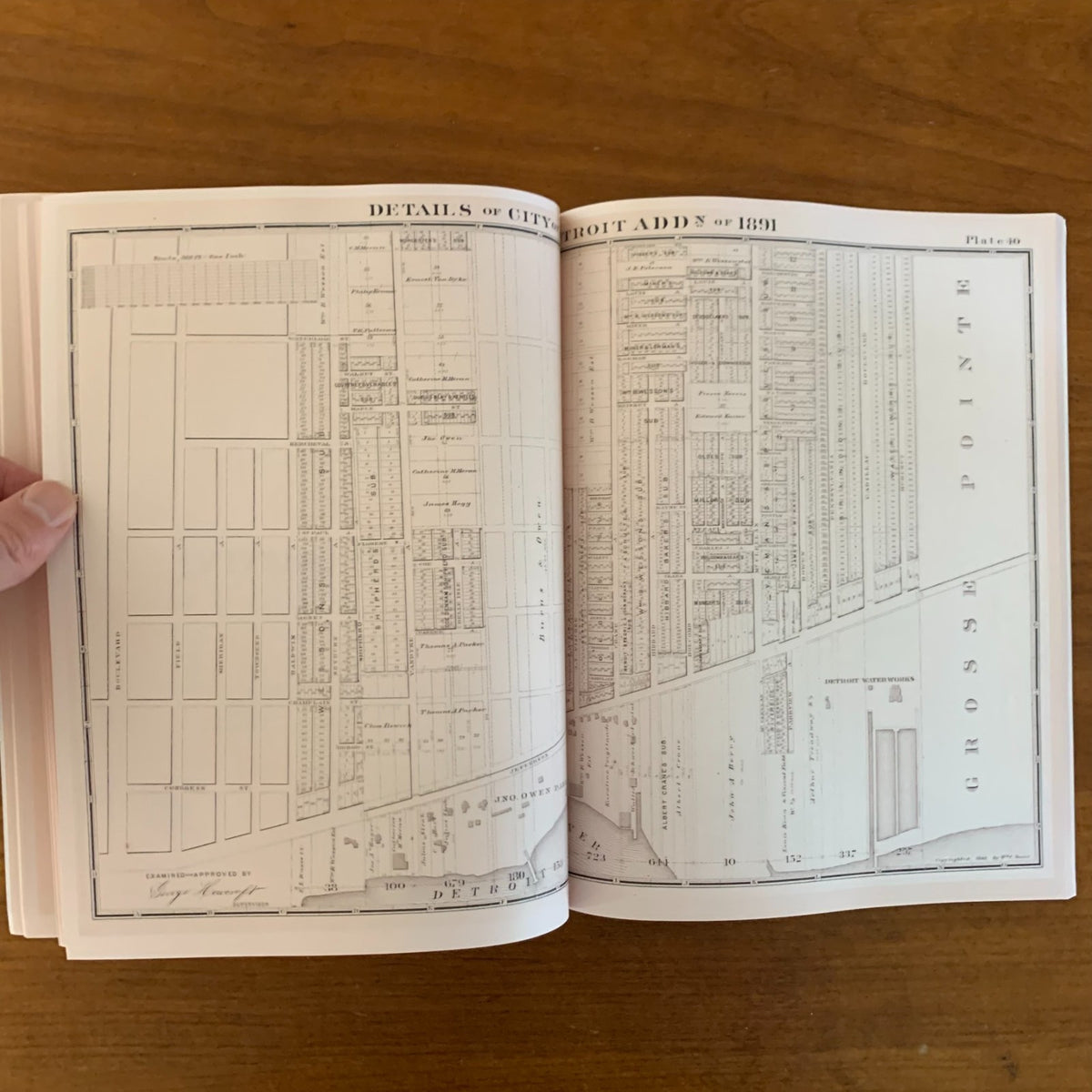 1893 Detailed Official Atlas of Wayne County, Michigan