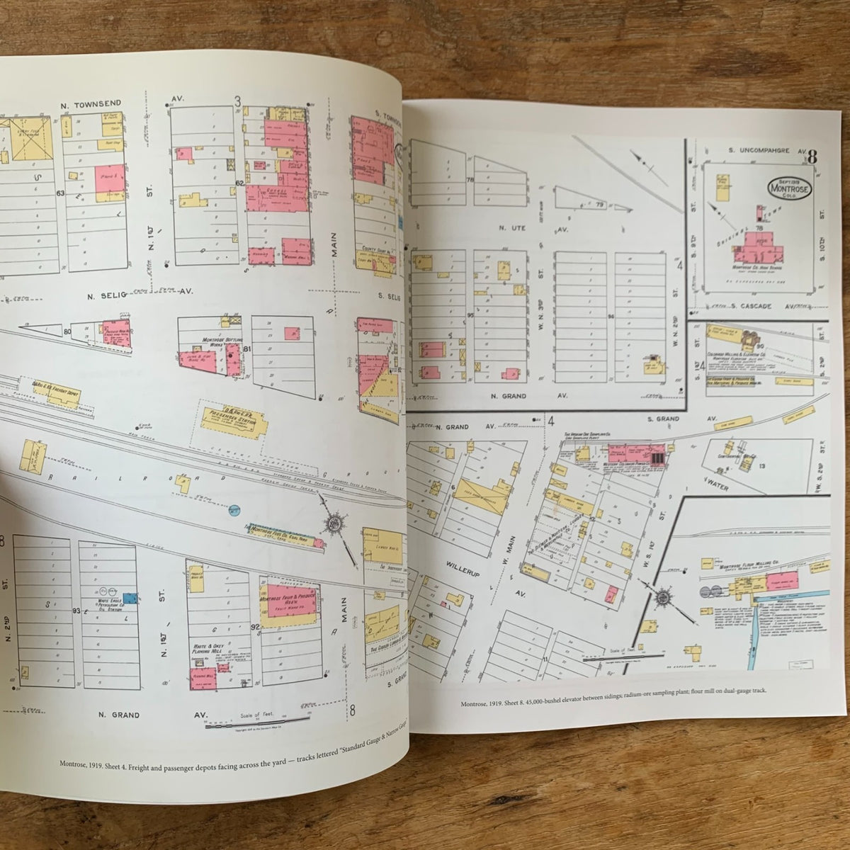 Railroad Depots of the Colorado Narrow Gauge, Volume 2