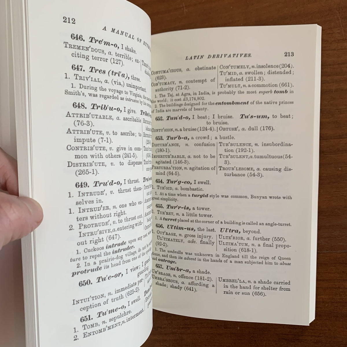 1879 A Manual of Etymology Containing Latin and Greek Derivatives Webb