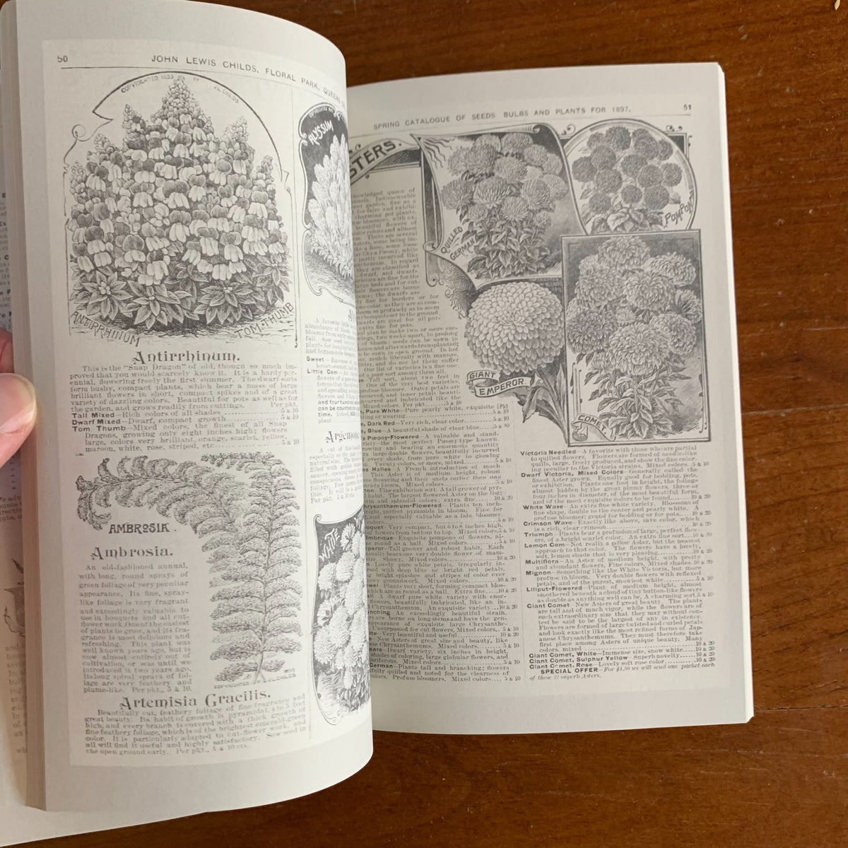 1897 Childs' Rare Flowers, Vegetables and Fruits