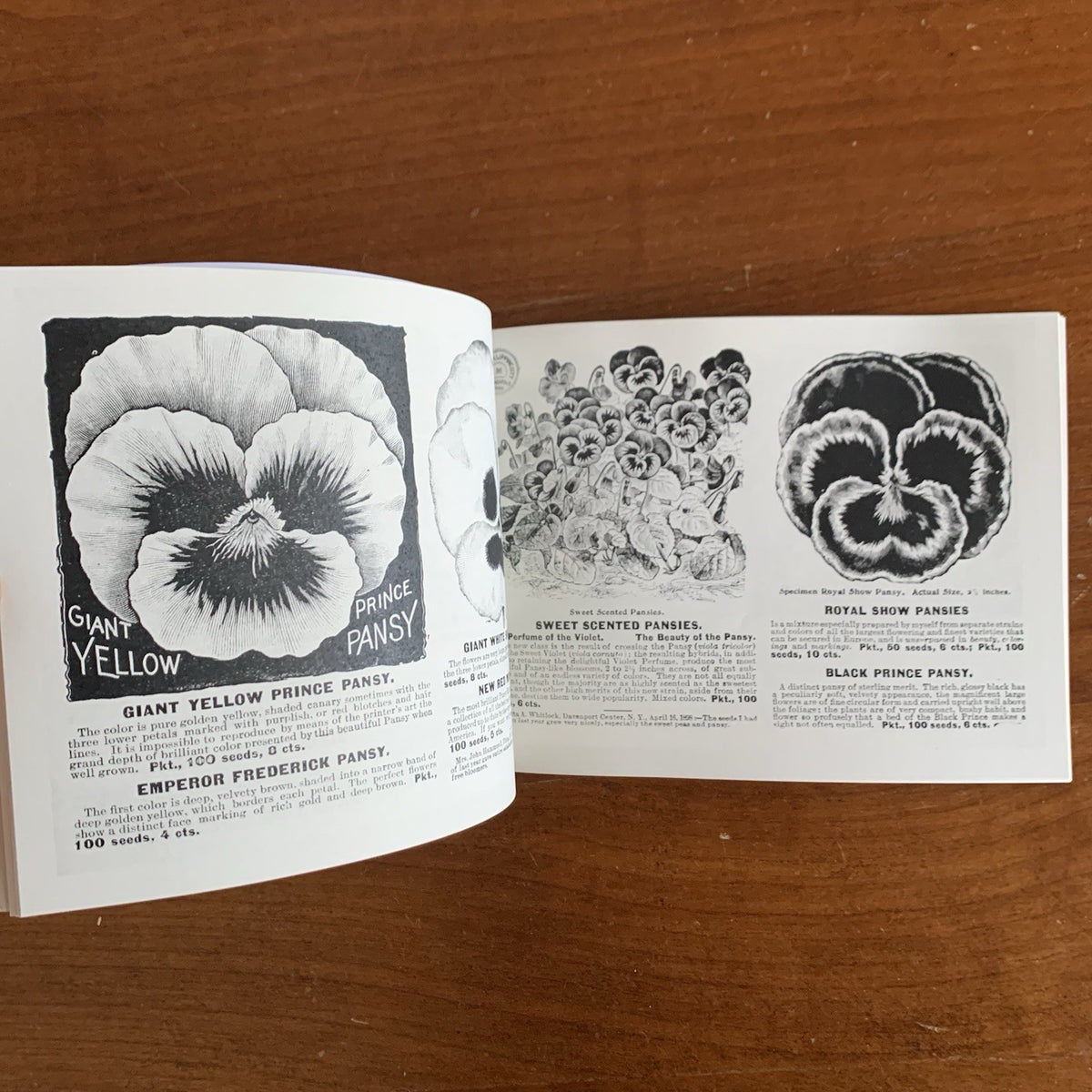 1899 Flower Seeds Miss C.H. Lippincott's Illustrated Seed Catalog