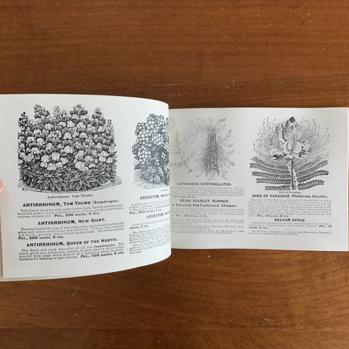 1899 Flower Seeds Miss C.H. Lippincott's Illustrated Seed Catalog