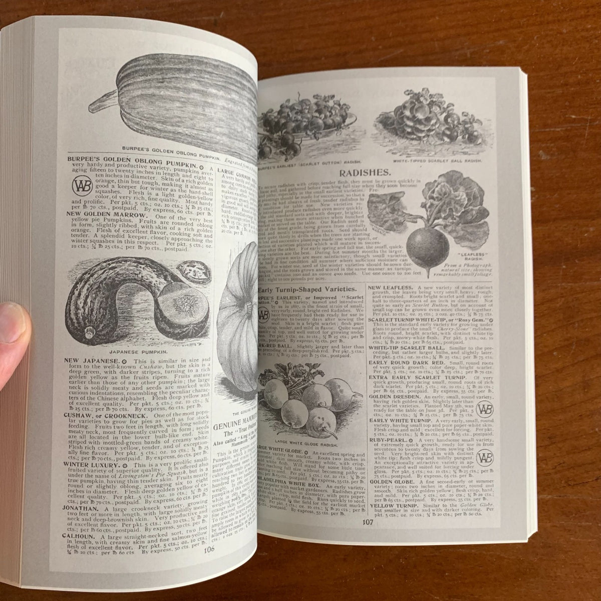 1901 Burpee's Farm Annual, Quarter-Century Edition