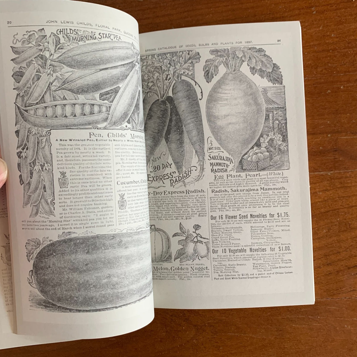 1897 Childs' Rare Flowers, Vegetables and Fruits