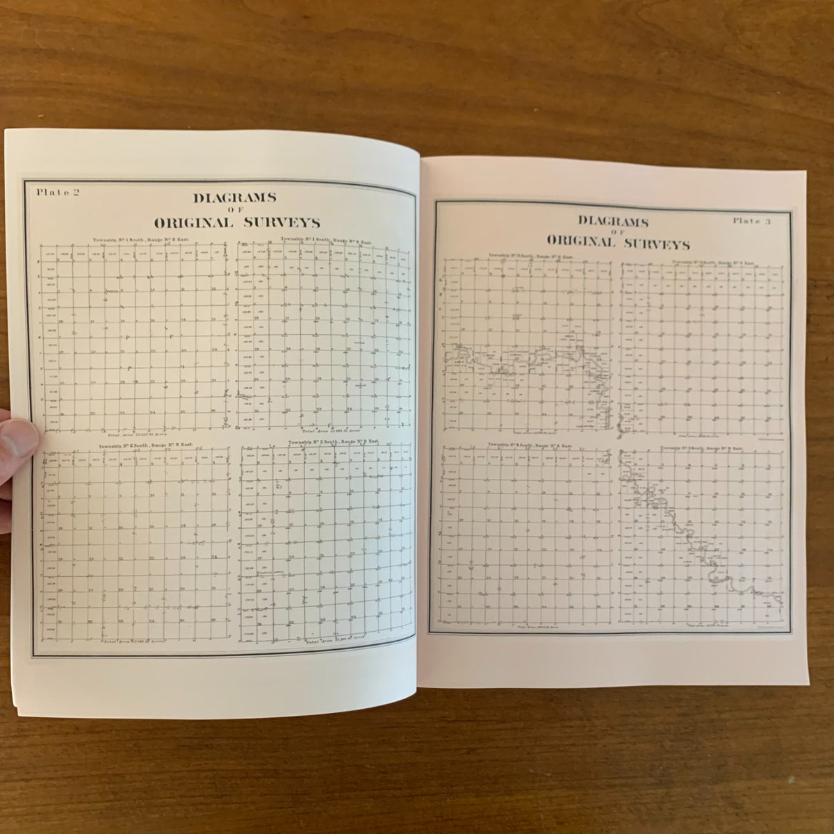 1893 Detailed Official Atlas of Wayne County, Michigan