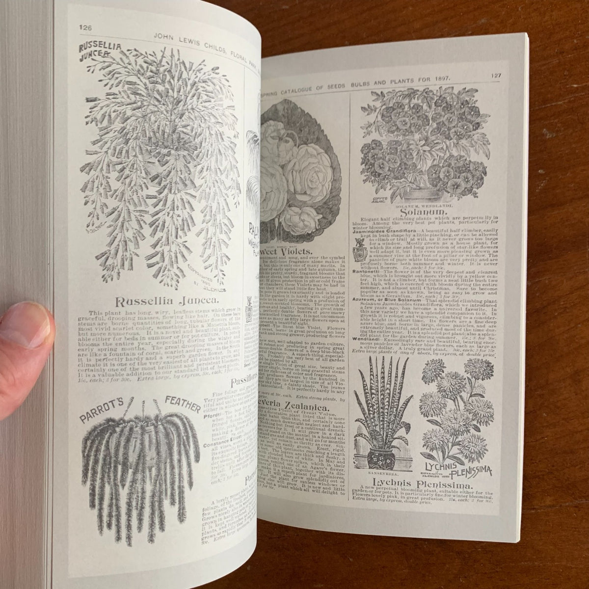 1897 Childs' Rare Flowers, Vegetables and Fruits