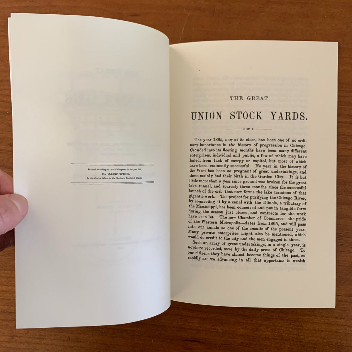 1865 The Great Union Stock Yards of Chicago