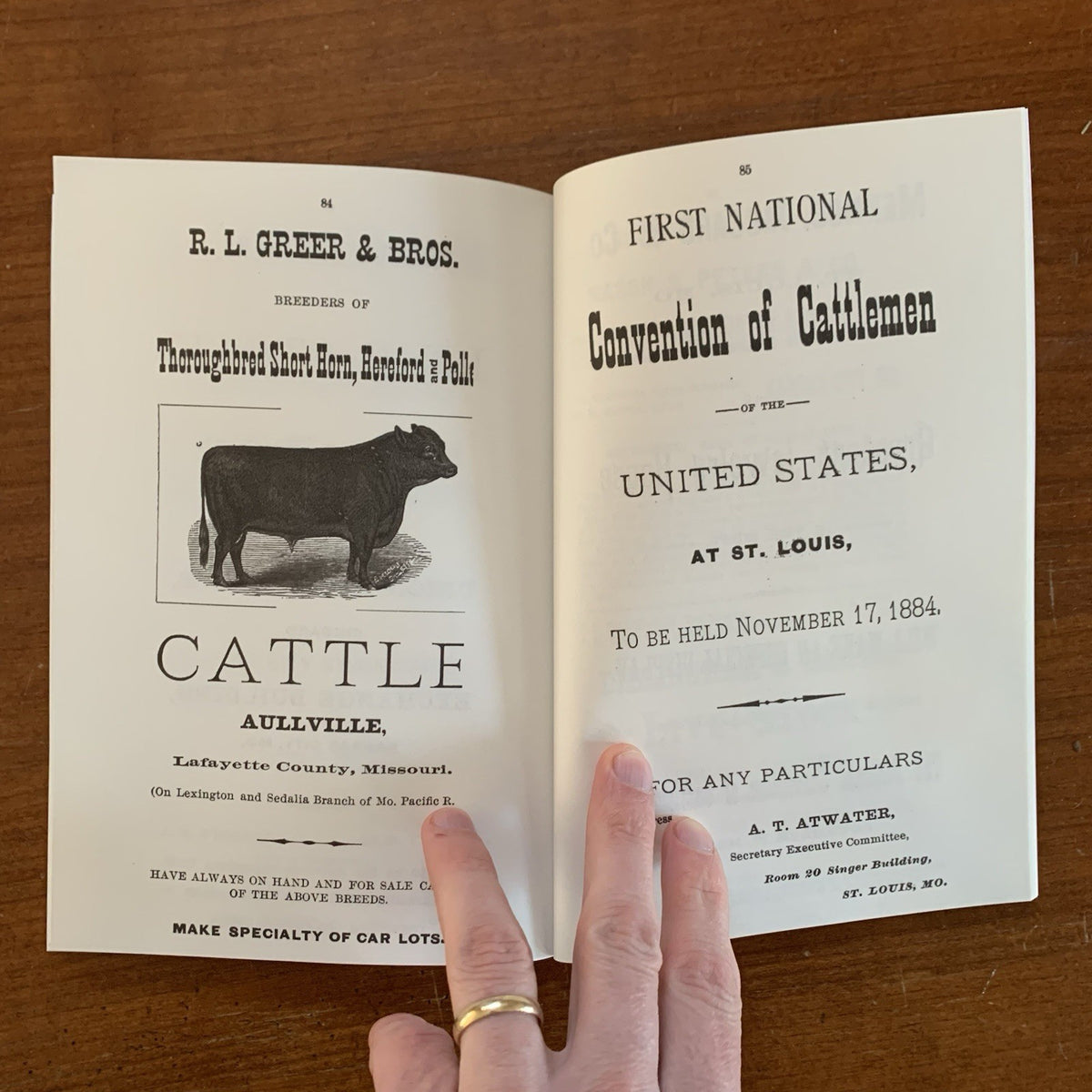 1884 Brand Book of the Northern New Mexico Stock Growers' Association