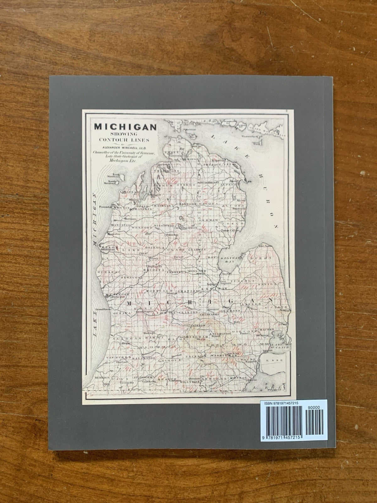 1873 Atlas of the State of Michigan