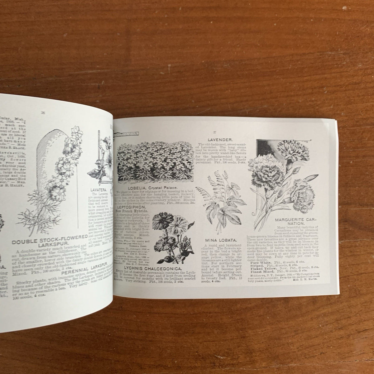 1899 Emma V. White's Choice Flower Seeds: Illustrated Catalog