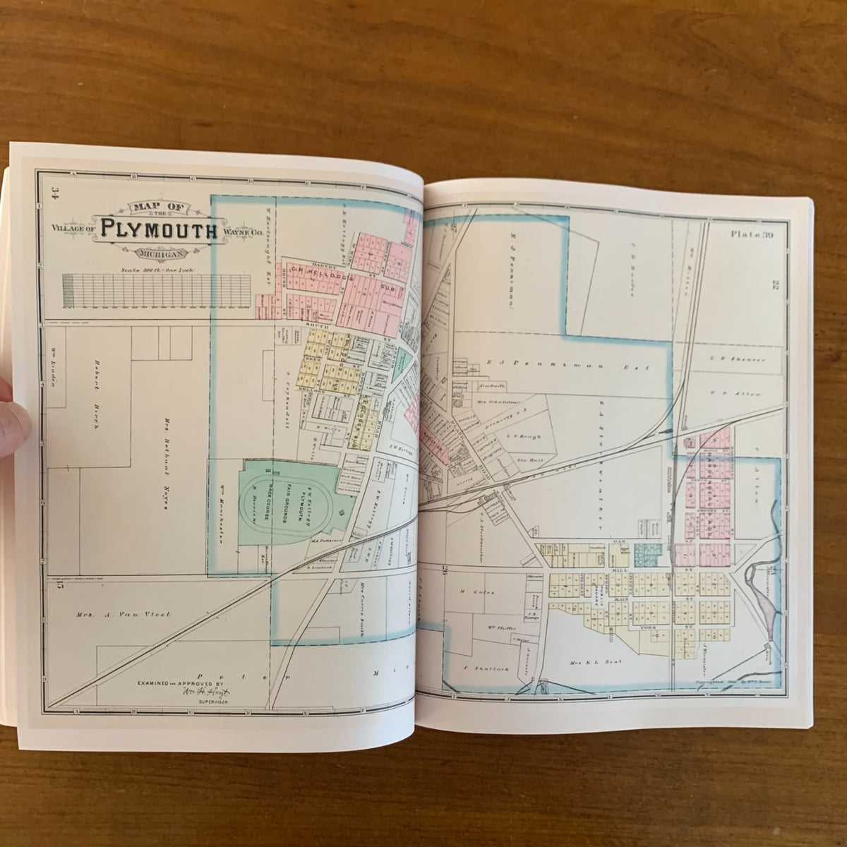 1893 Detailed Official Atlas of Wayne County, Michigan