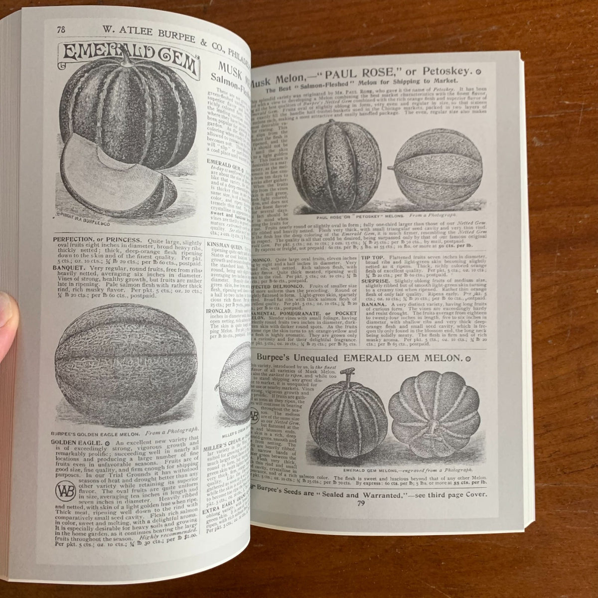 1901 Burpee's Farm Annual, Quarter-Century Edition