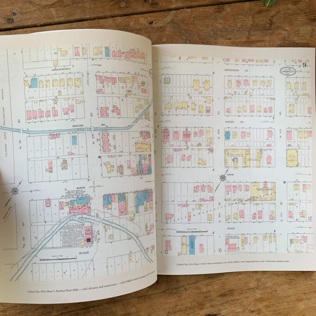 Railroad Depots of the Colorado Narrow Gauge, Volume 3