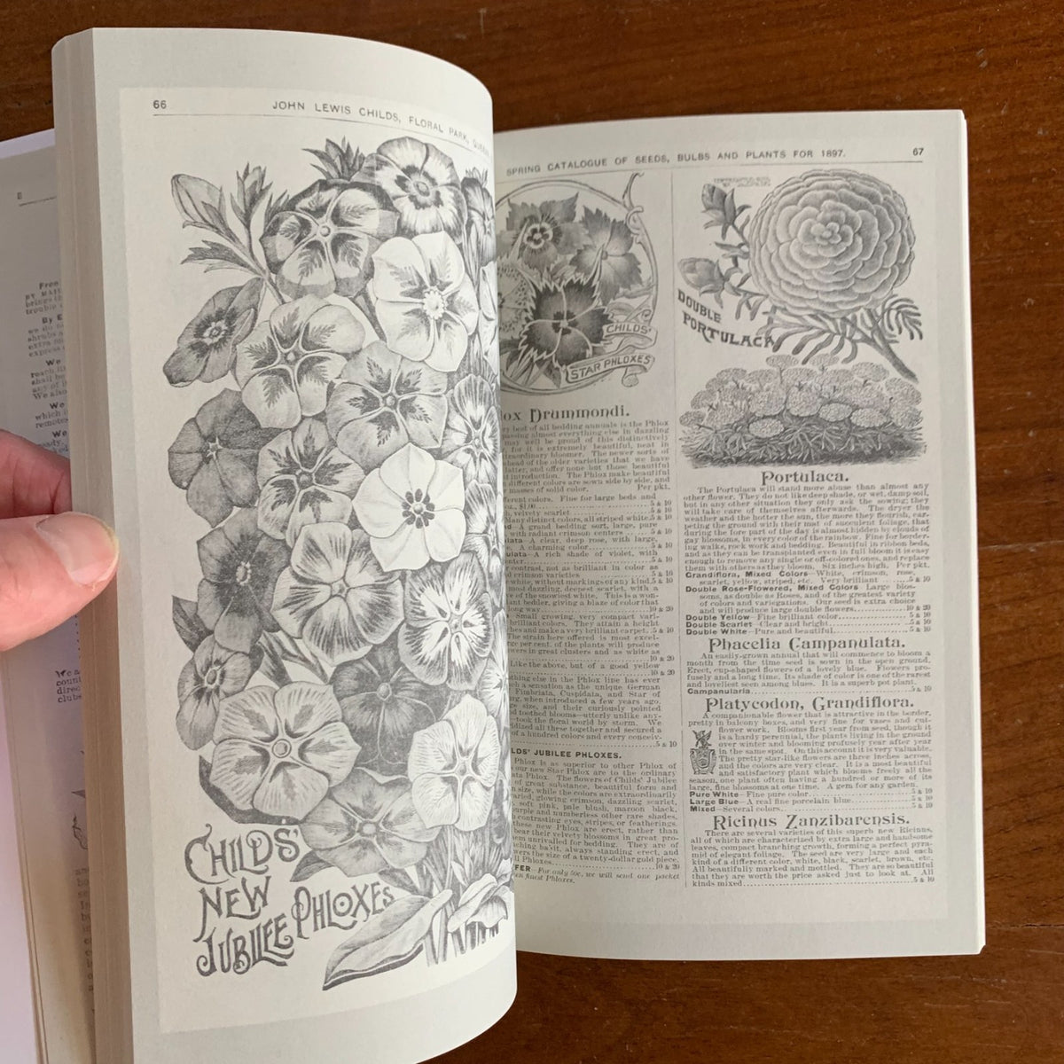 1897 Childs' Rare Flowers, Vegetables and Fruits