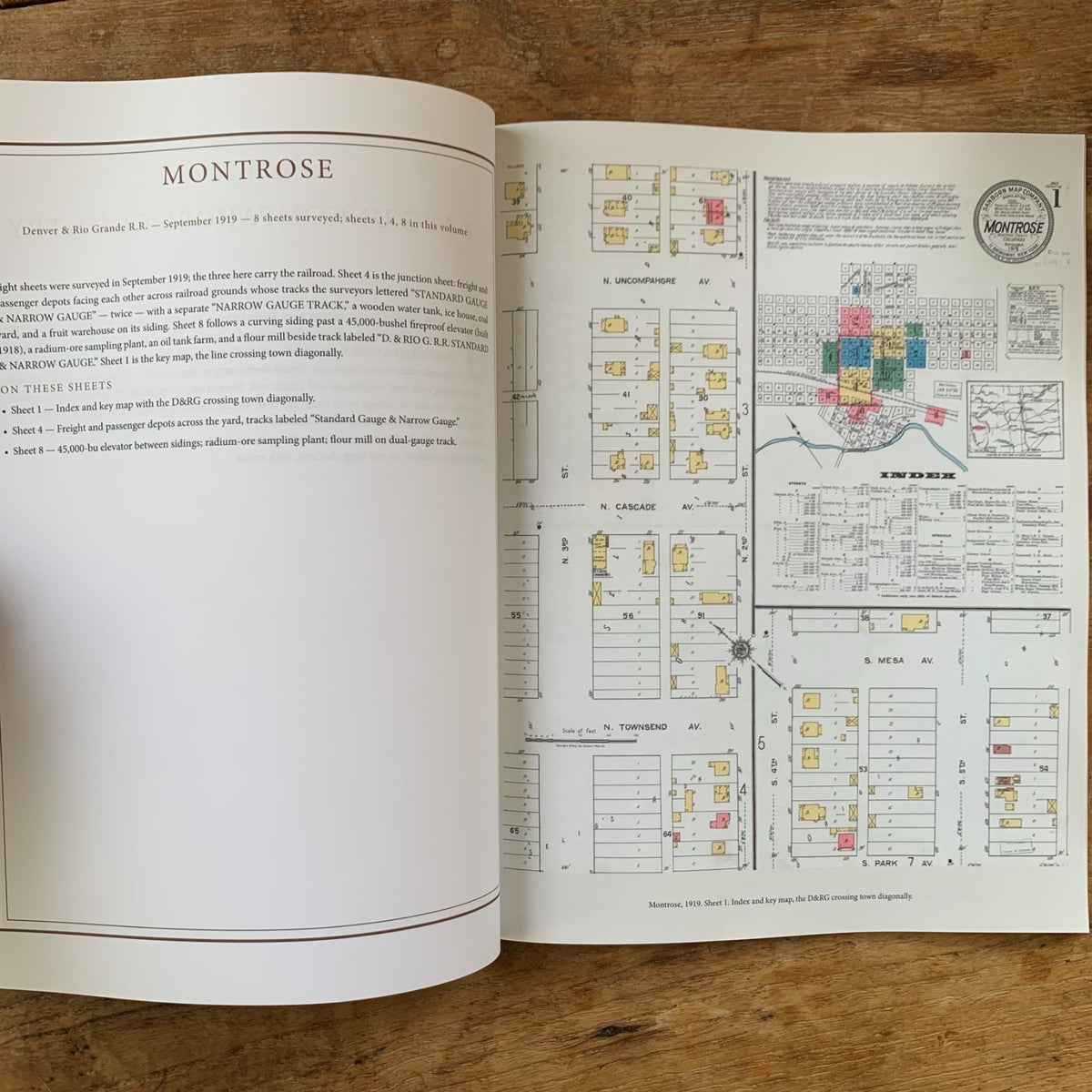 Railroad Depots of the Colorado Narrow Gauge, Volume 2