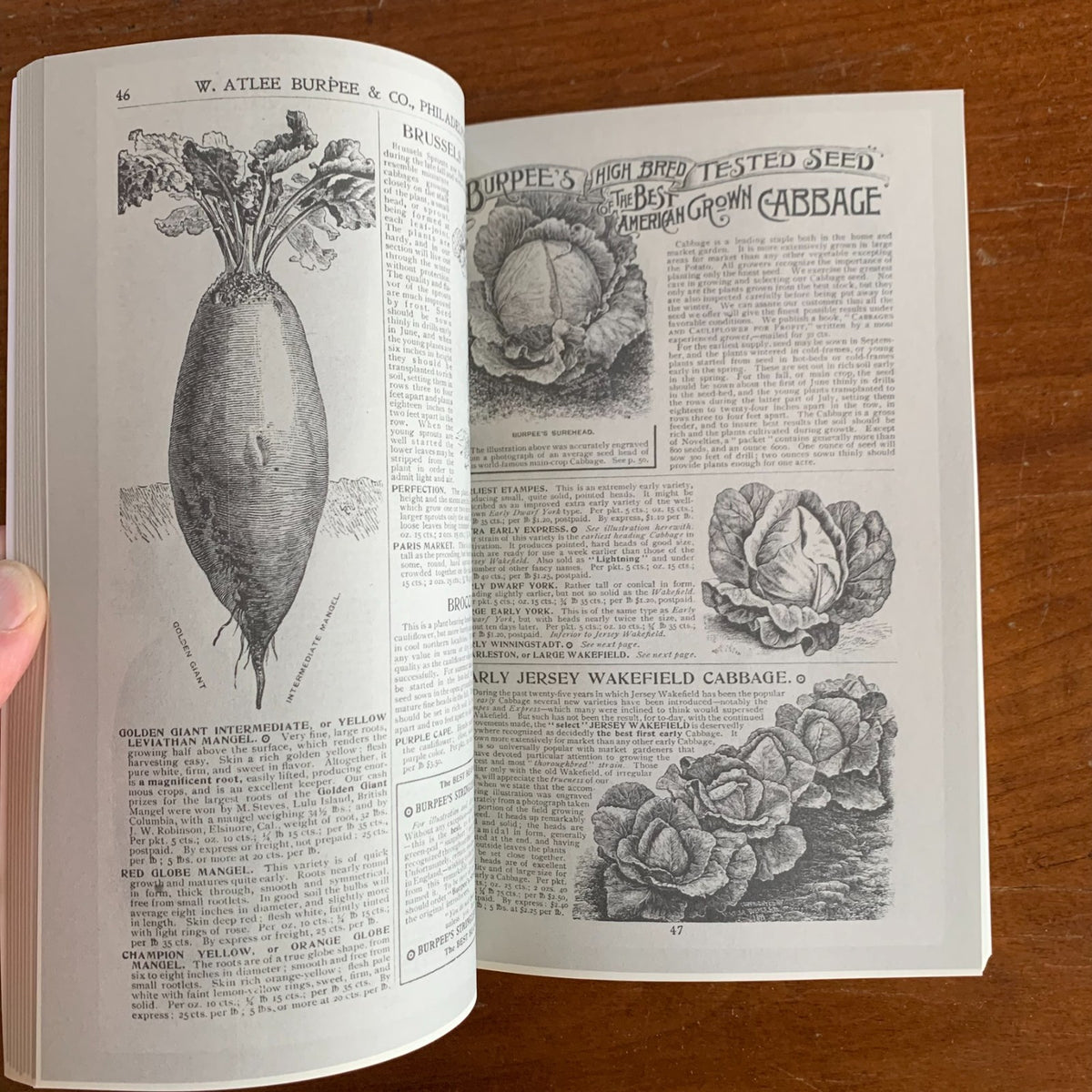1901 Burpee's Farm Annual, Quarter-Century Edition