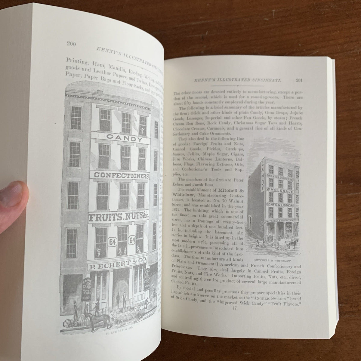 Illustrated Cincinnati A Pictorial Hand-Book of the Queen City Ohio 1875