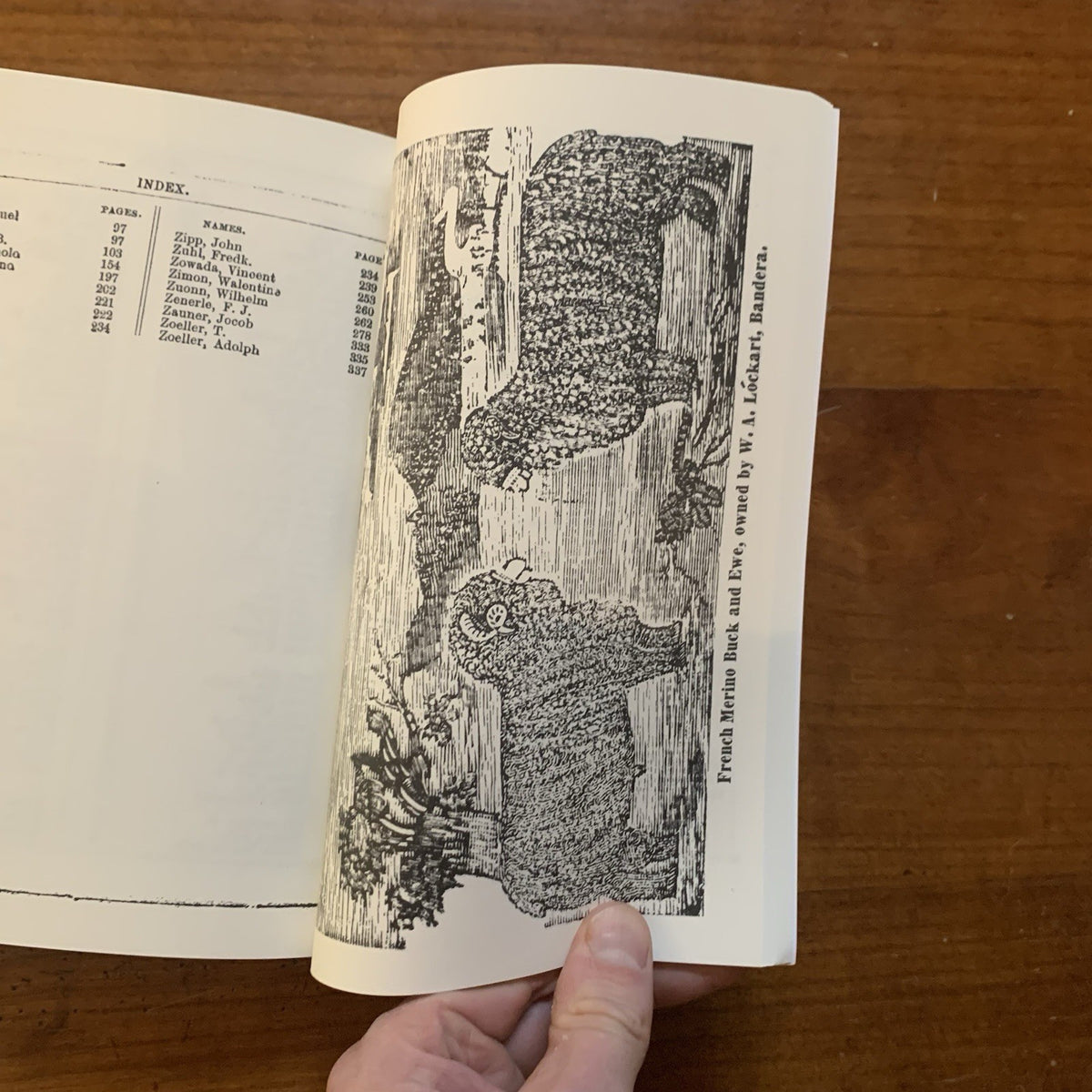 1865 Texas Cattle Brand Book — Stock Directory, or Book of Marks and Brands