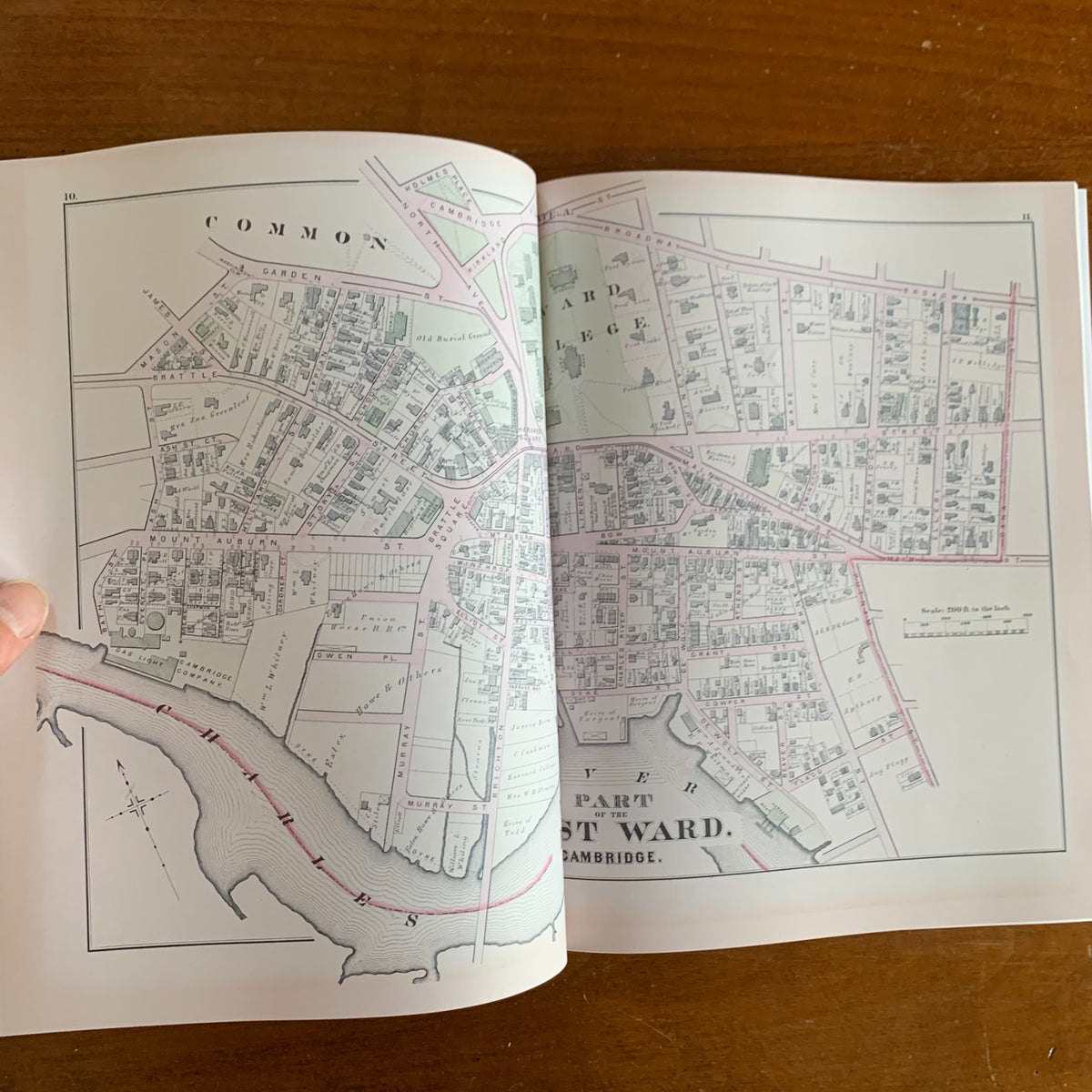 1873 Atlas of the City of Cambridge, Massachusetts (Harvard)