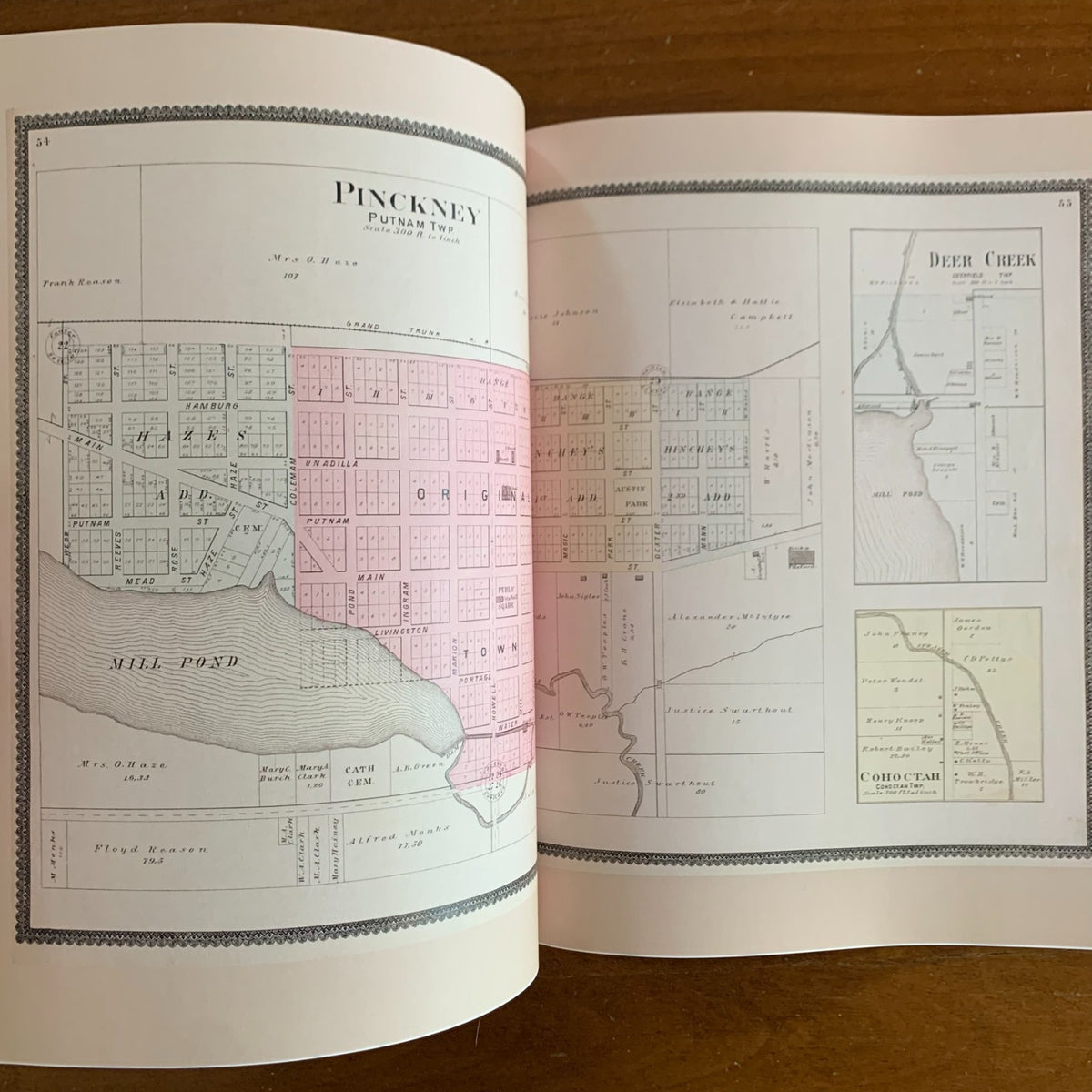 1895 Standard Atlas and Plat Book of Livingston County, Michigan