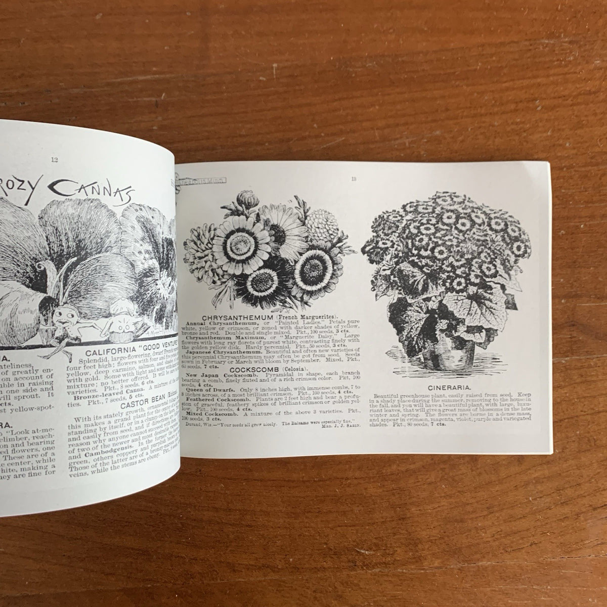 1899 Emma V. White's Choice Flower Seeds: Illustrated Catalog