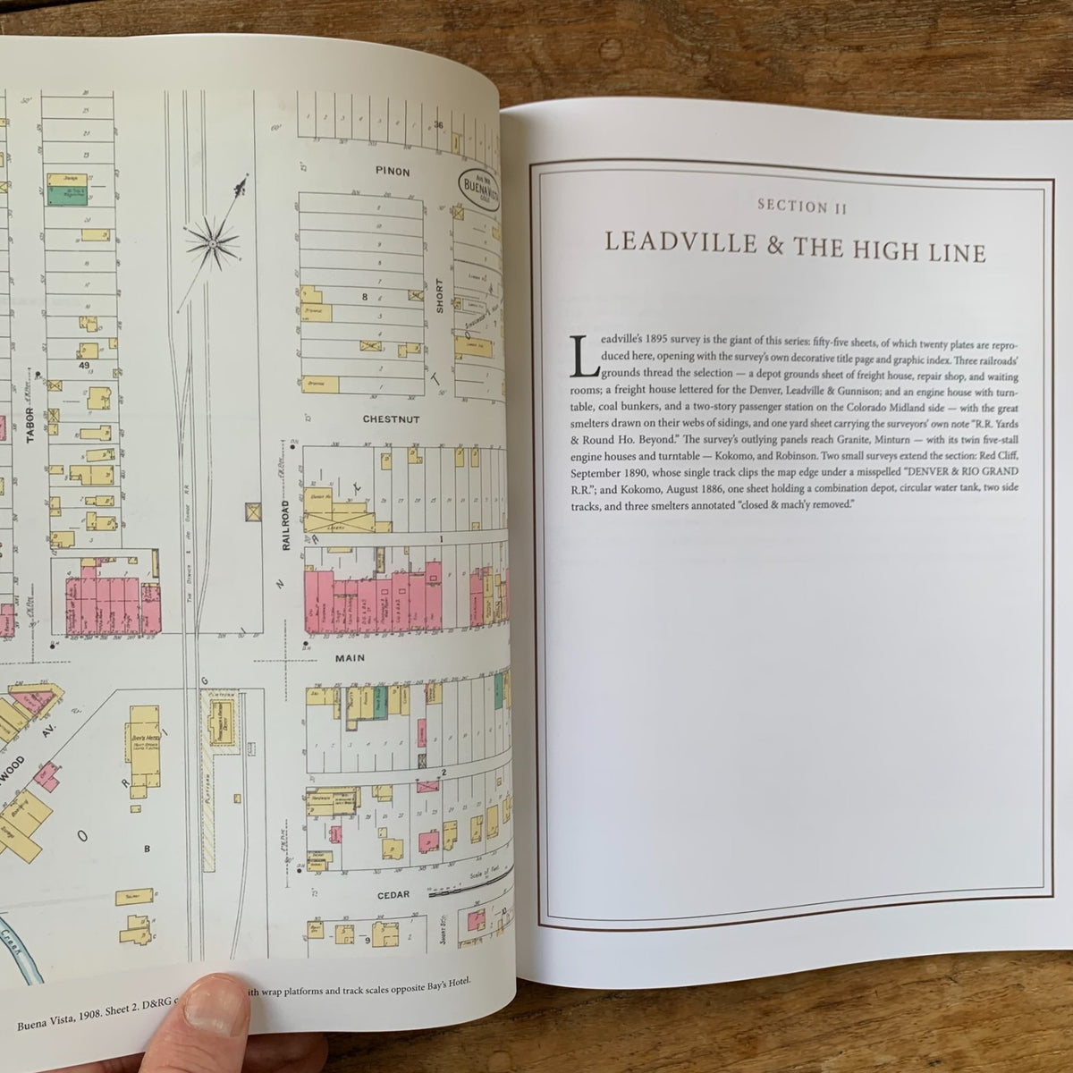 Railroad Depots of the Colorado Narrow Gauge, Volume 3