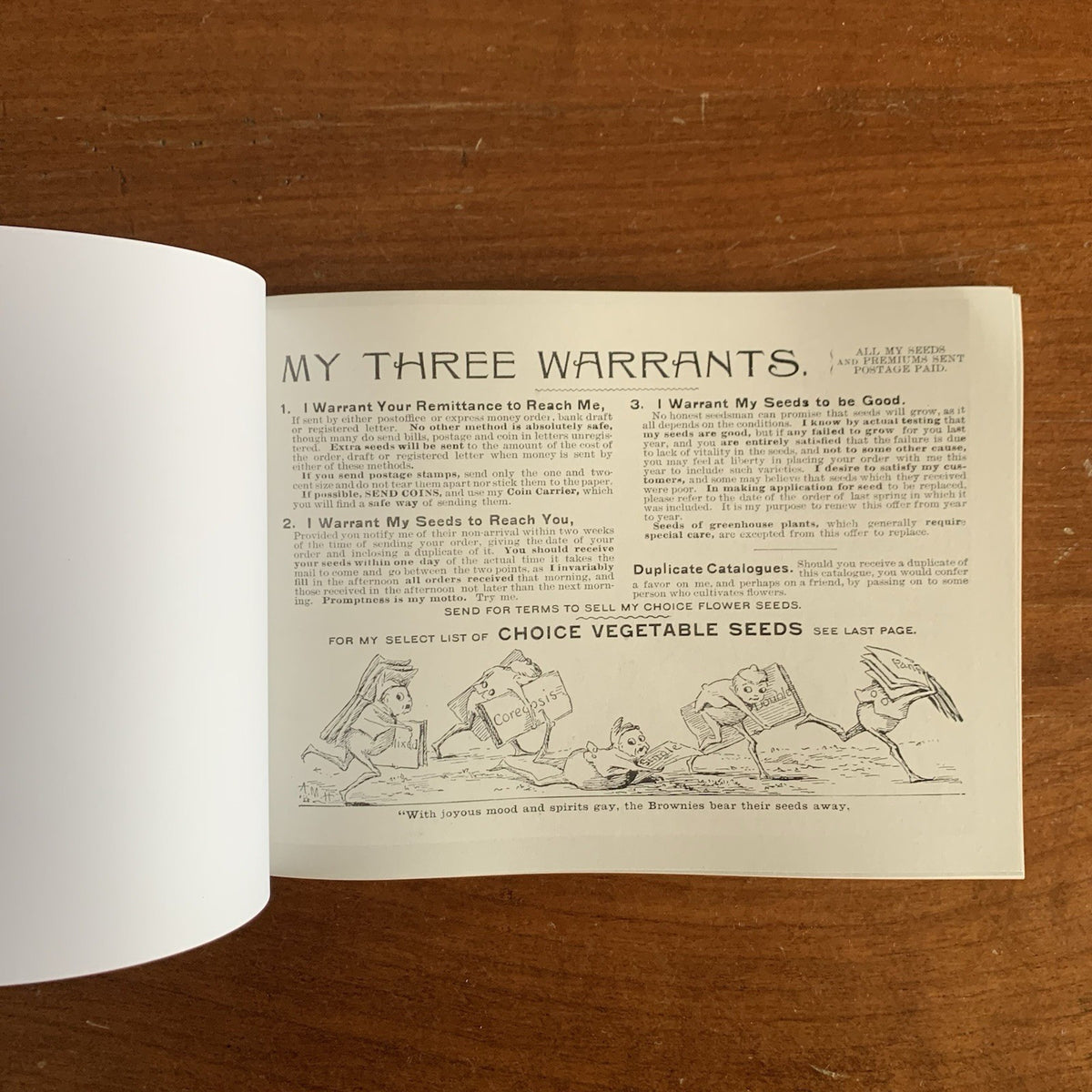 1899 Emma V. White's Choice Flower Seeds: Illustrated Catalog