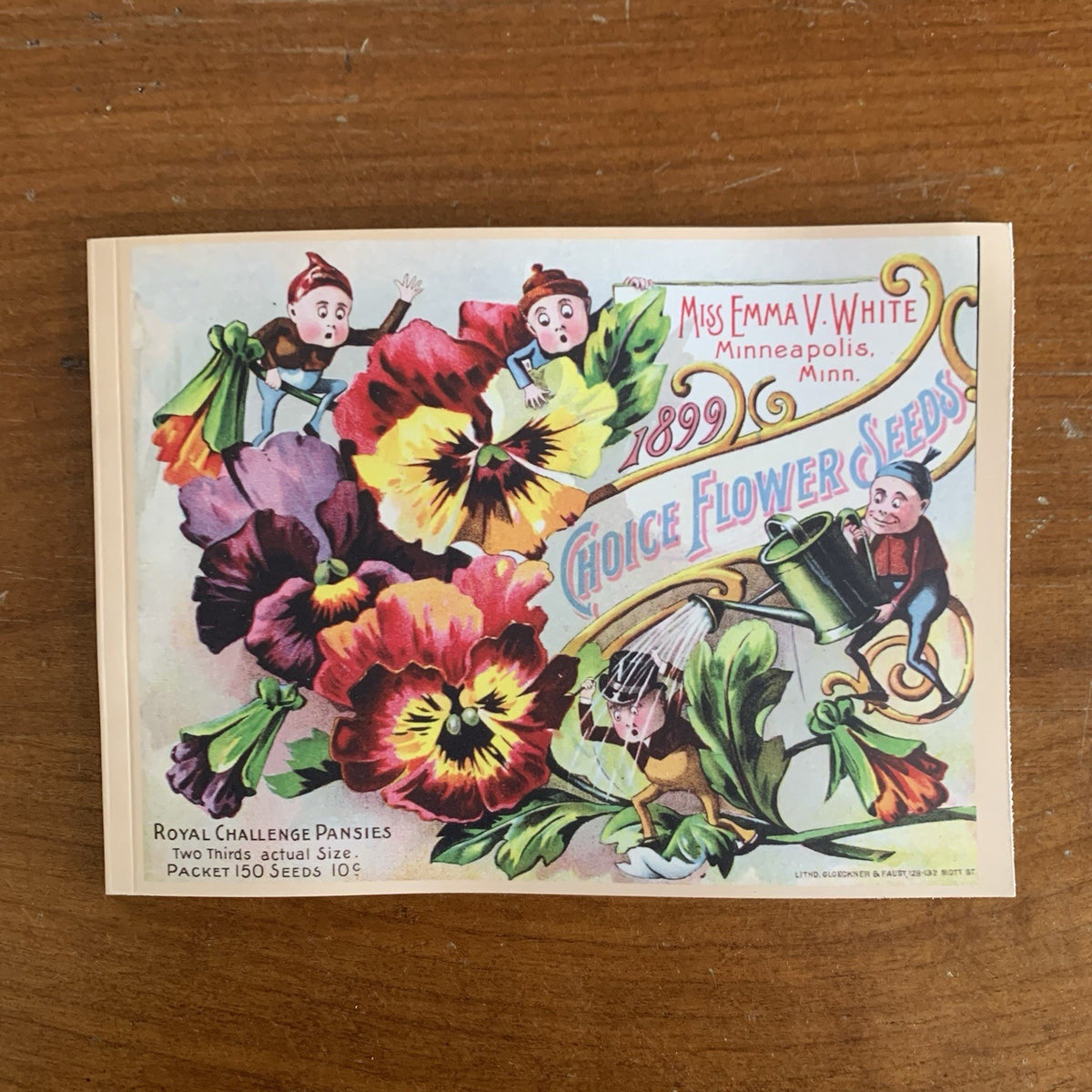 1899 Emma V. White's Choice Flower Seeds: Illustrated Catalog