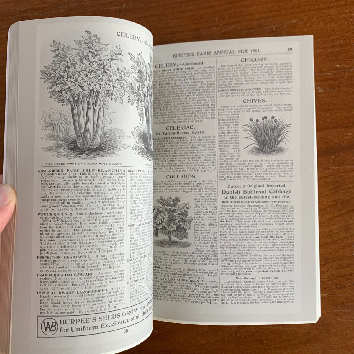 1901 Burpee's Farm Annual, Quarter-Century Edition